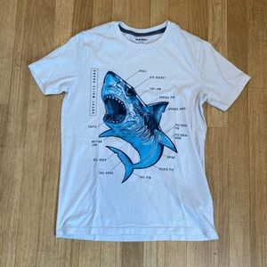 GREAT WHITE SHARK Boys Tee Shirt Size XL (14-16)